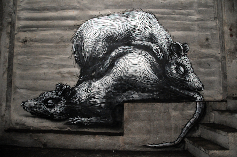 Work by Roa at The Underbelly Project in New York City. Photo by RJ Rushmore.