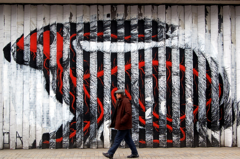 Roa in London. Photo by Leigh Harries.