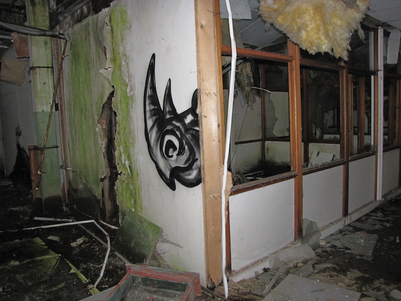 An early piece by Roa in an abandoned building in Belgium. Photo by Massygo.